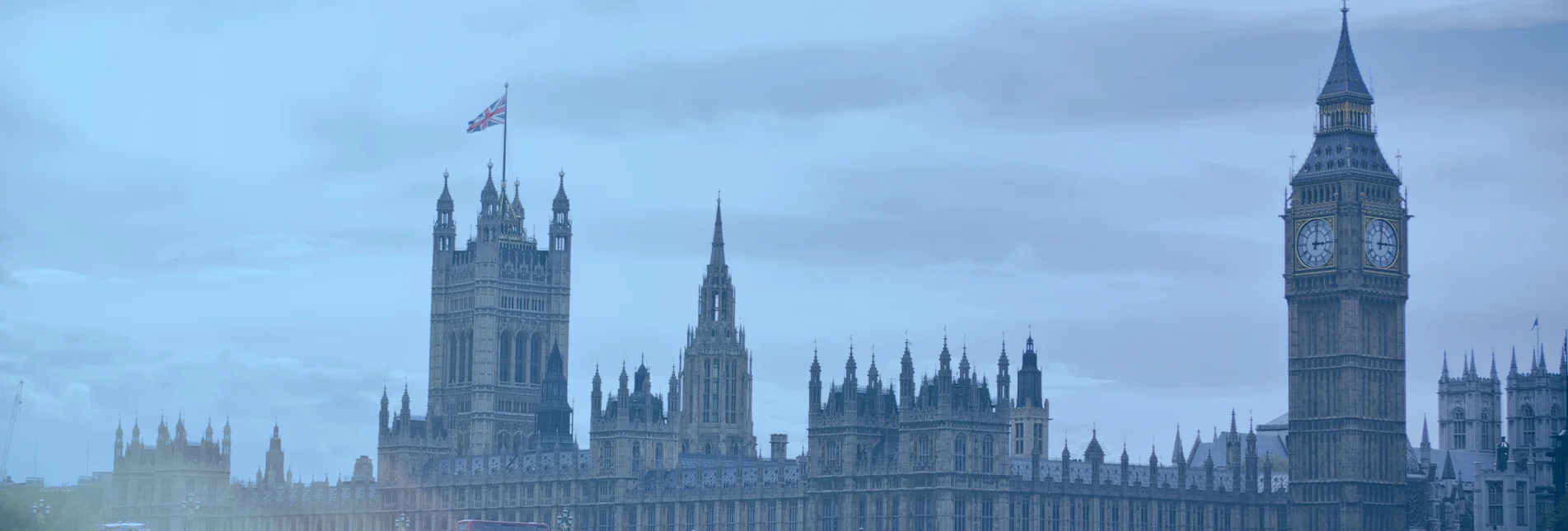 Banner Pic3